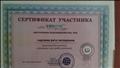 Сертификат Участника infourok.ru  настоящим подтверждается , что Сергнева Р.Г. принимала участие в конкурсе эссе среди учителей автор проекта Жаборовский И.В.  19.11 2013г